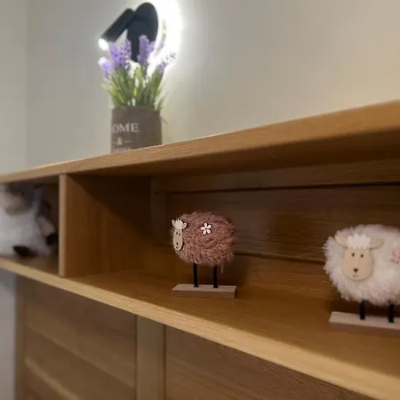 V A Z A T A Apartament