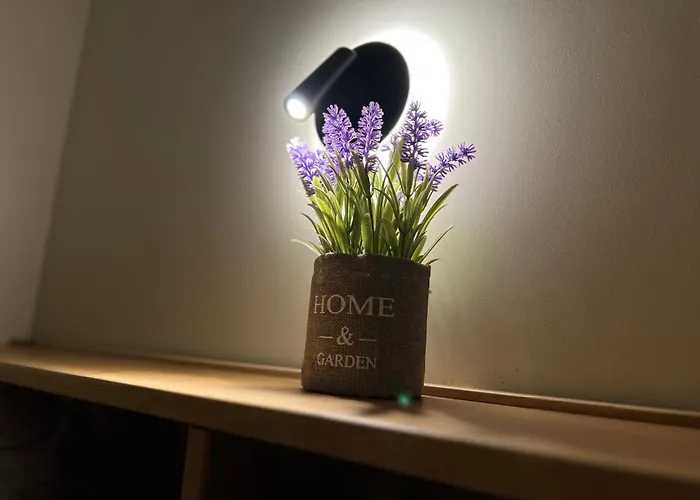 Appartement V A Z A T A Ruse